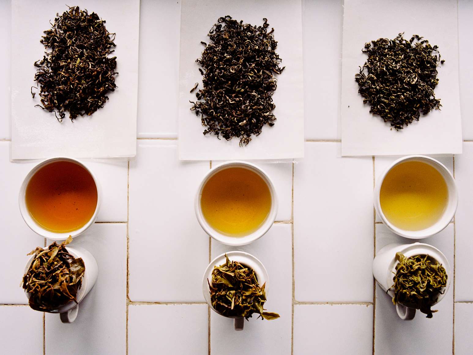 Lemon Balm Tea for Herpes, Autoimmune Disease and Pain