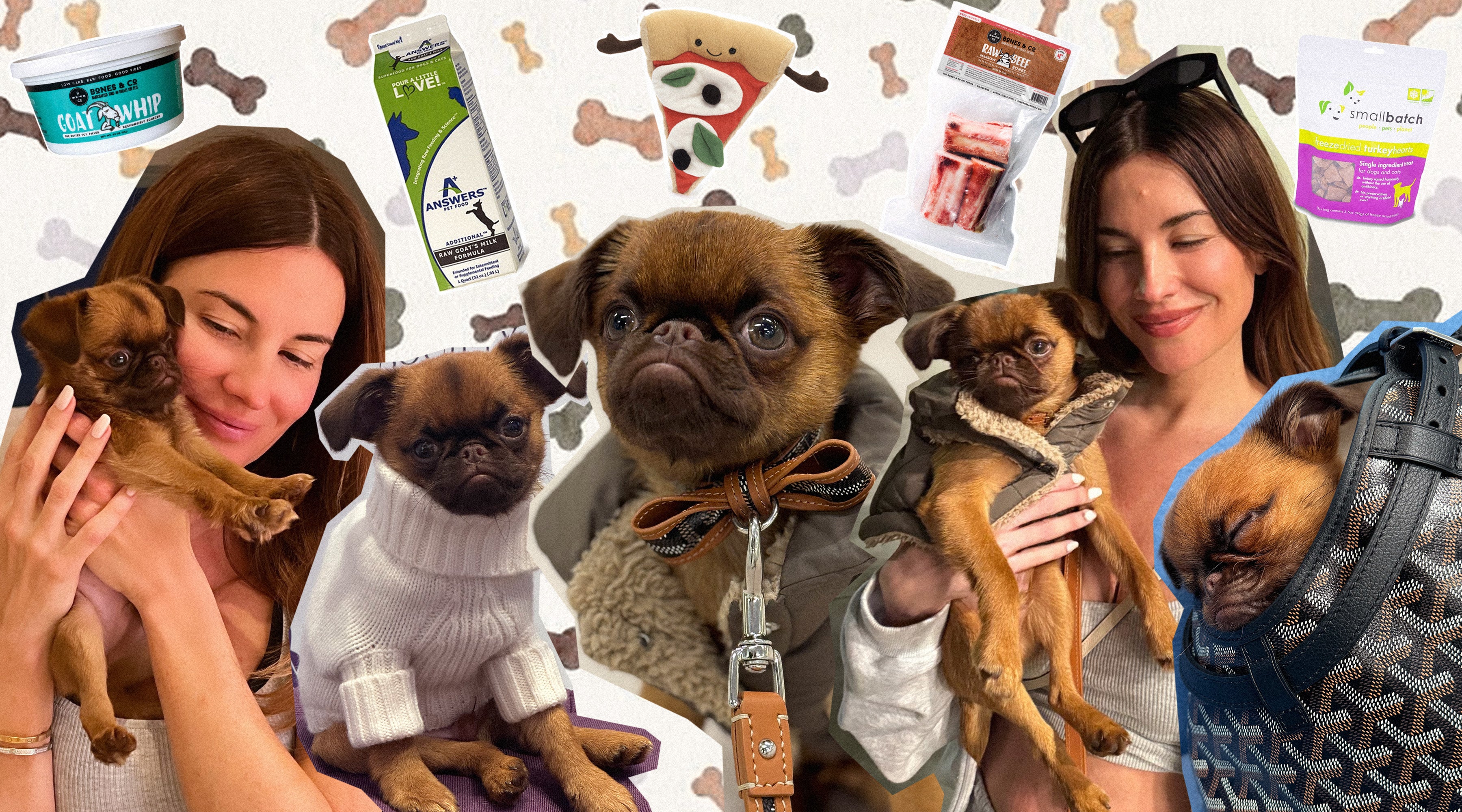 HOLISTIC DOG WELLNESS