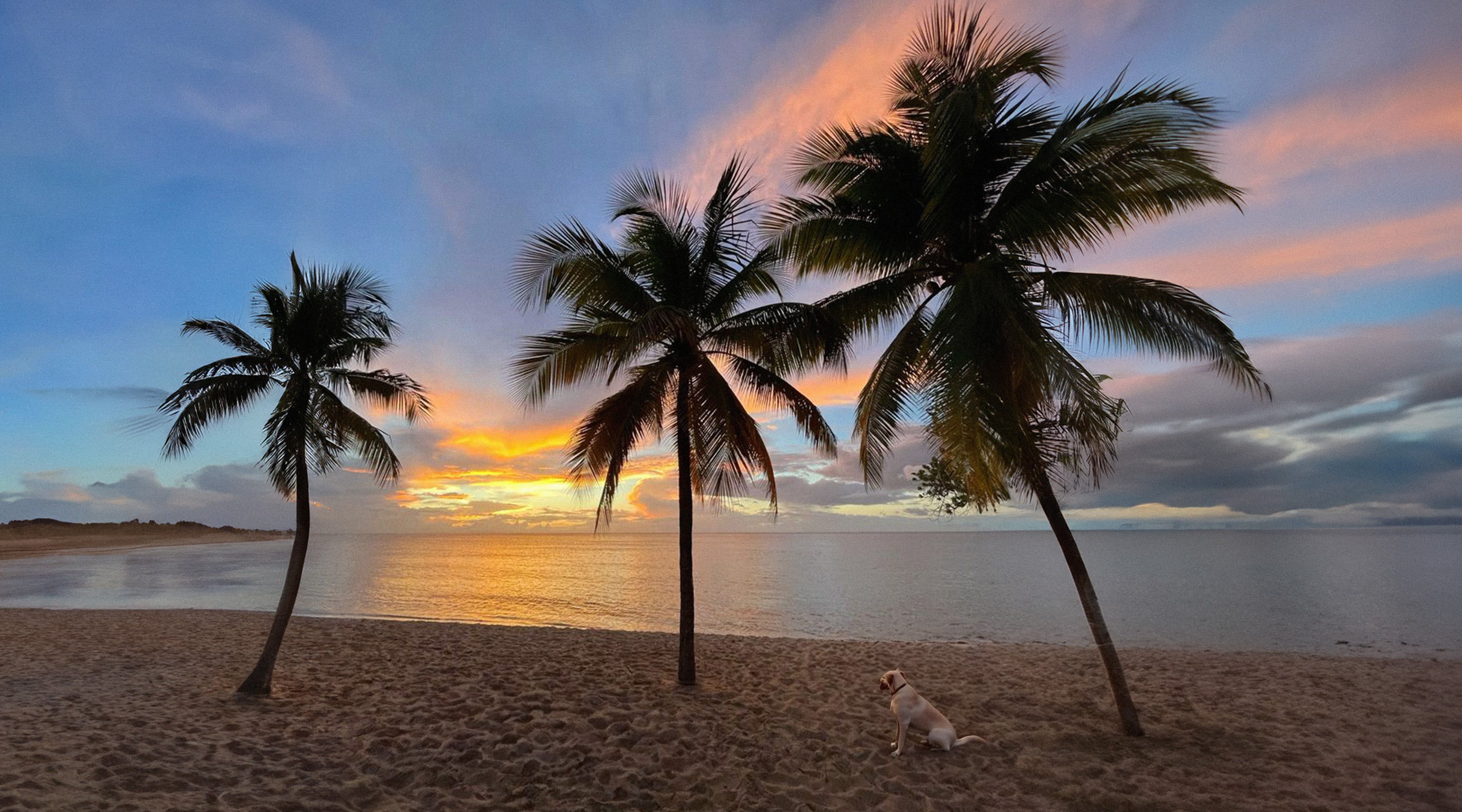 Five Easy Ways to Practice Daily Gratitude