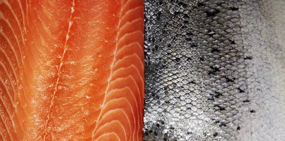 The fish that tops our dietary blacklist: farm raised salmon