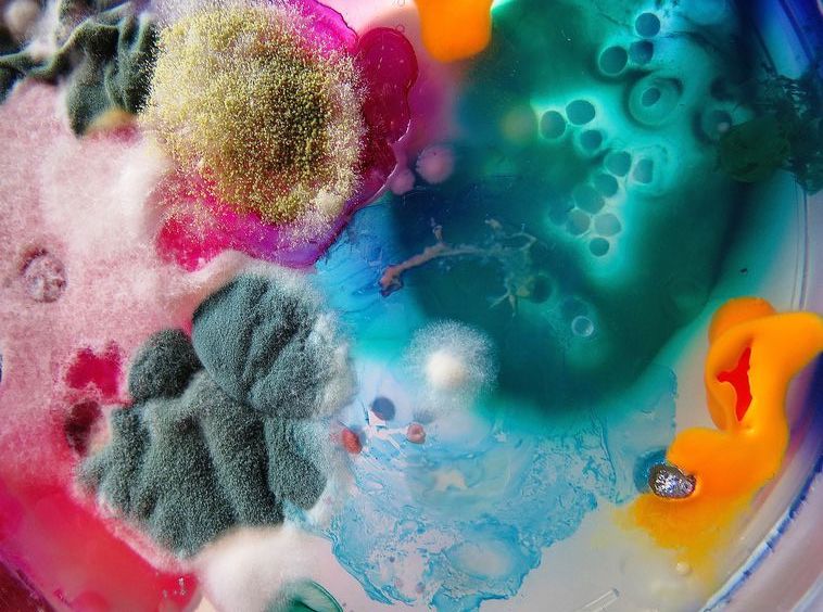 Unleashing the Power of Methylene Blue: From Medicine to Brain Enhancement