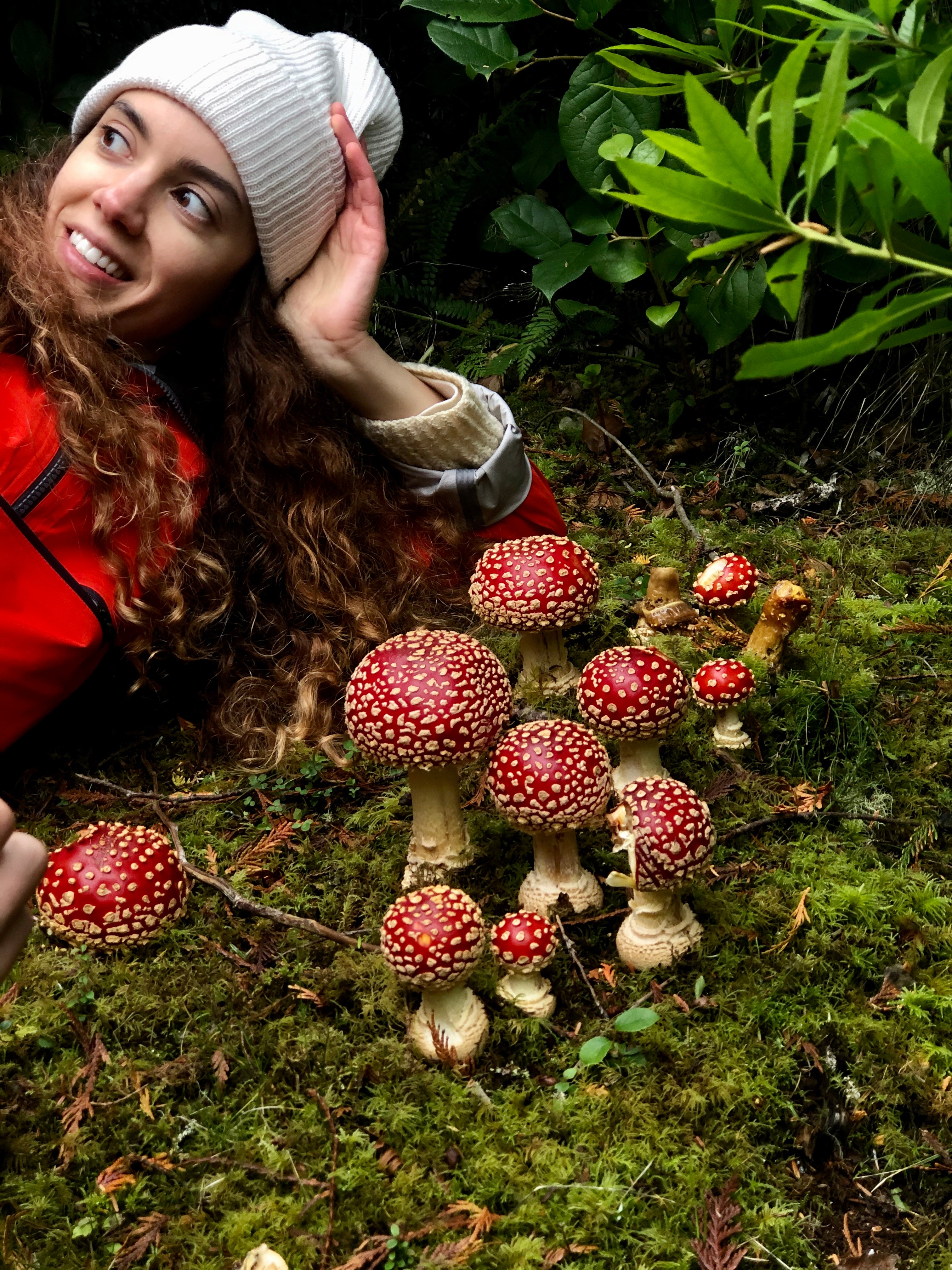 Immune Shrooms: Q & A with Rainbo Mushrooms CEO Tonya Papanikolov