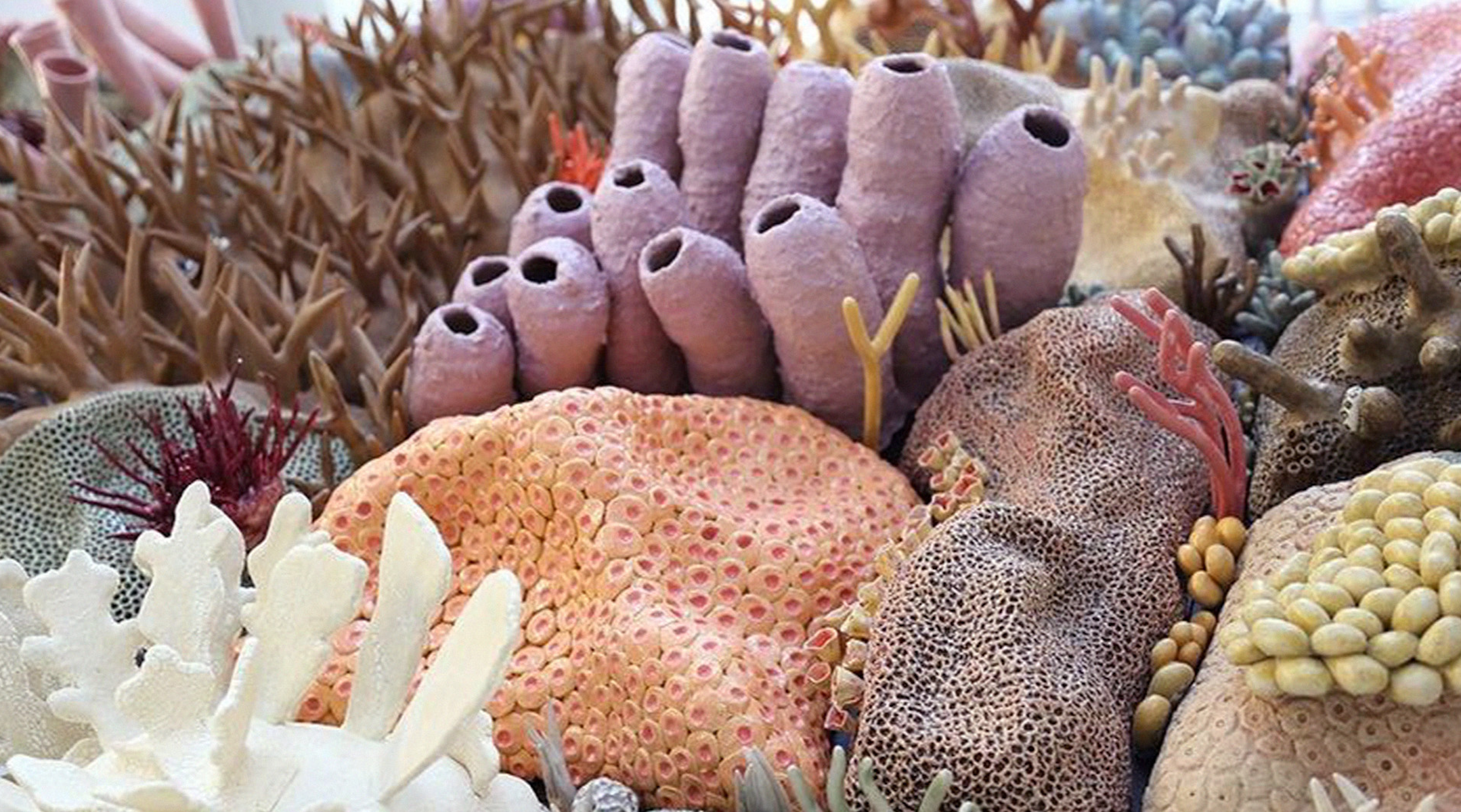 Tanning Without the Toxins