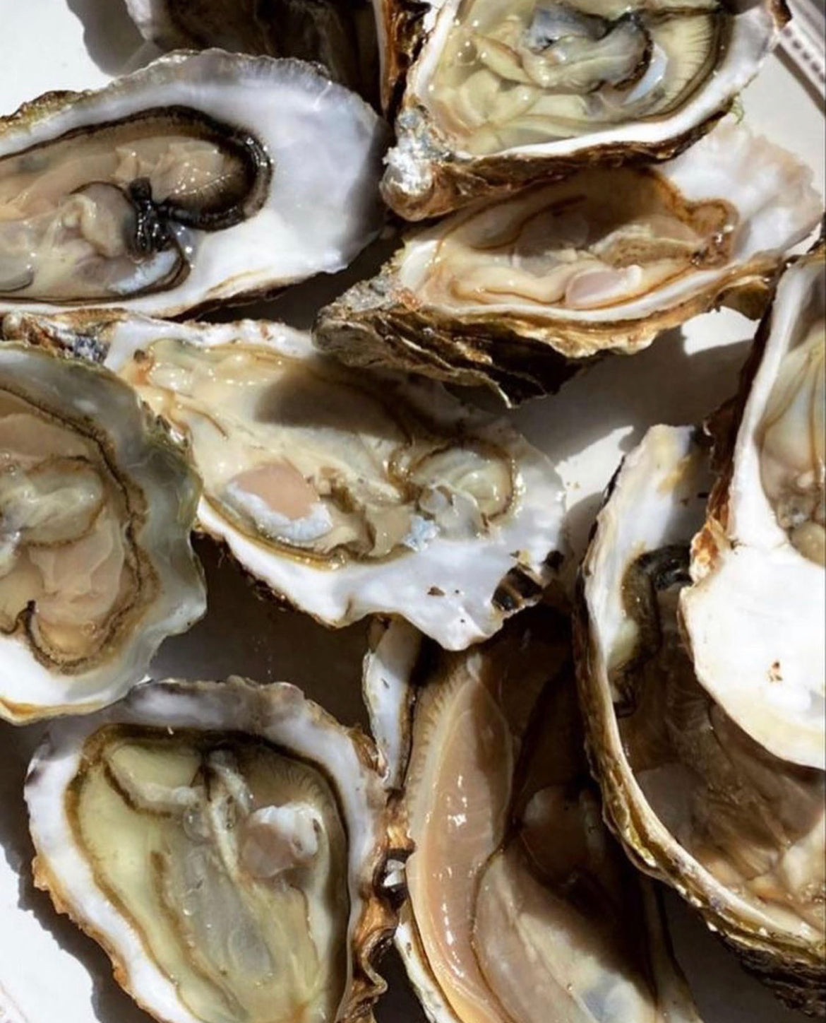 Double up on immunity: zinc and quercetin