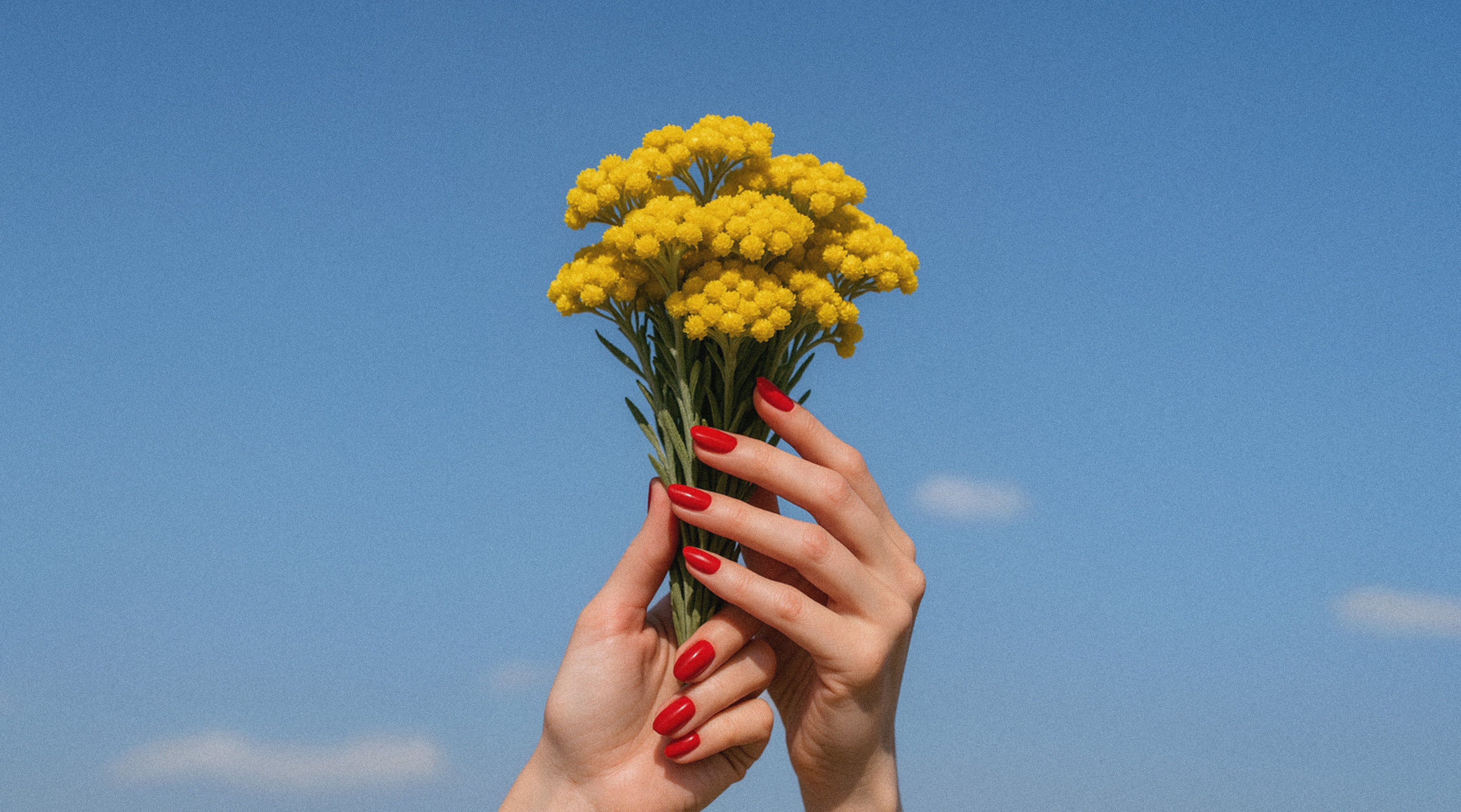 Helichrysum is the Inner and Outer Healing Flower Essence You Need to Know About