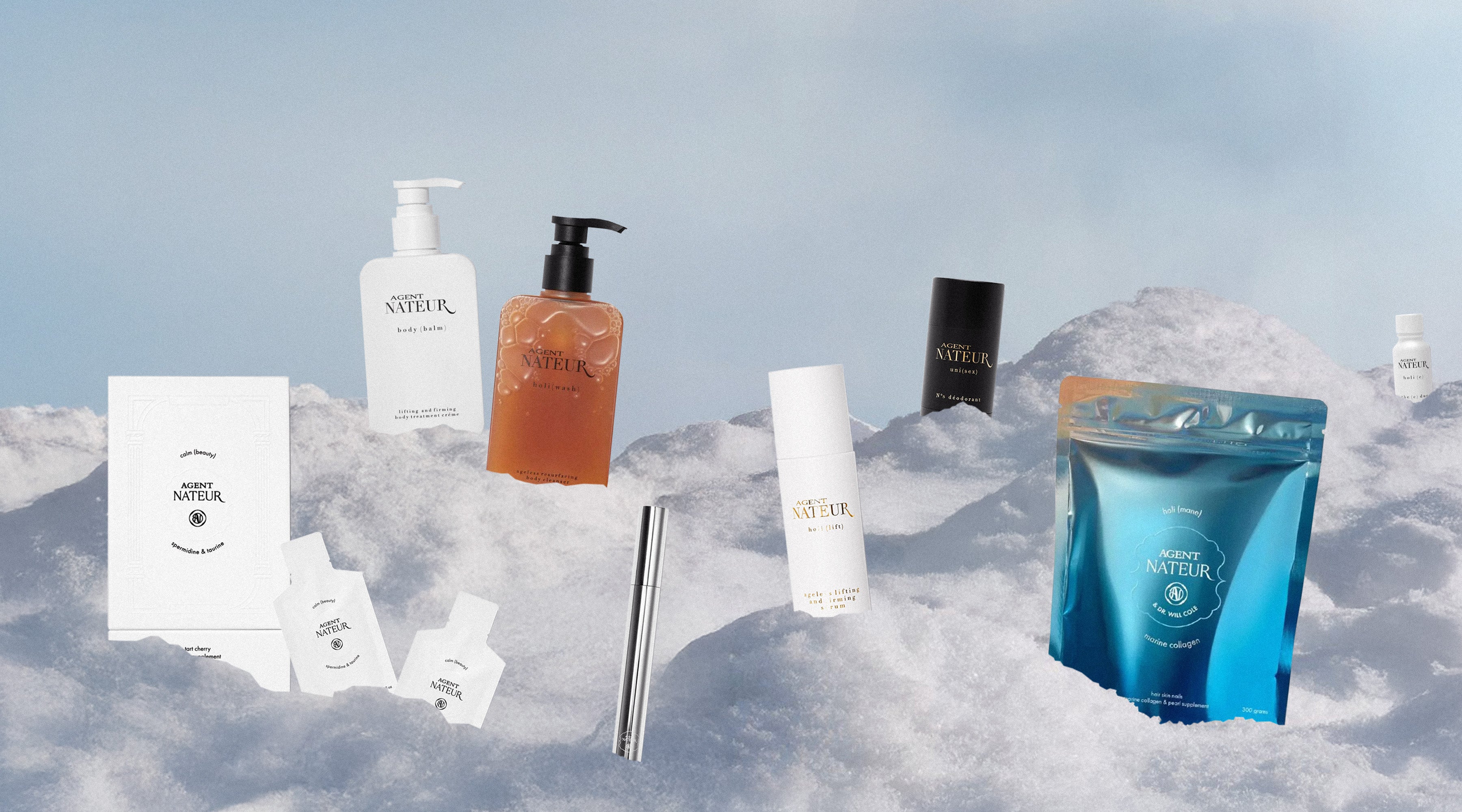 The Holiday Gift Guide