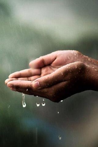 Hand Sanitizer Ingredients To Watch