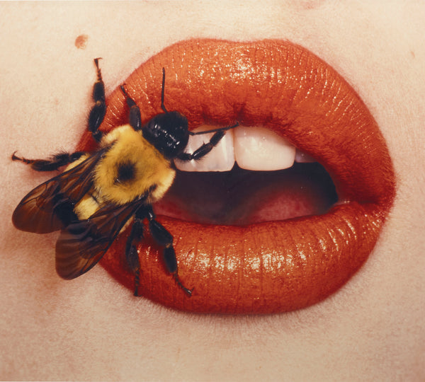 Bee Pollen, A Serious Superfood