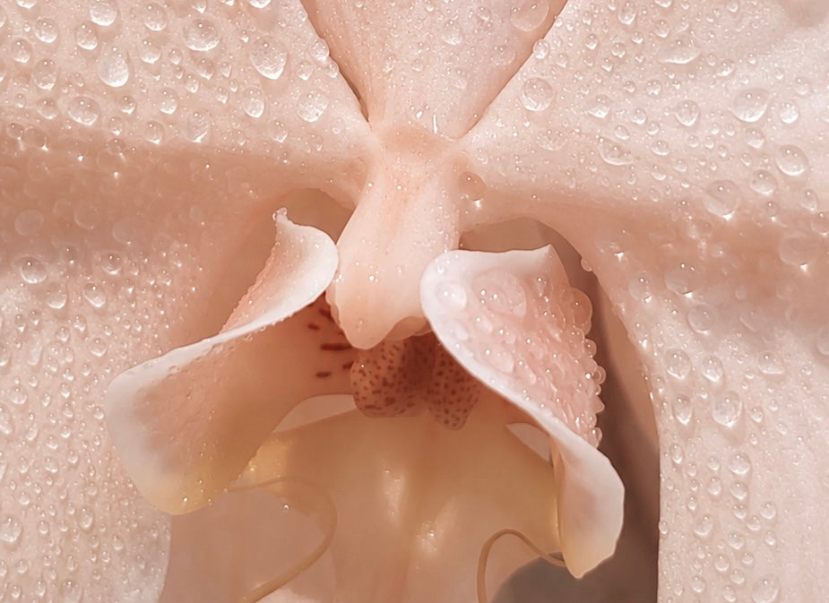 Could Freezing Your Ovarian Tissue Change the Future of Fertility?