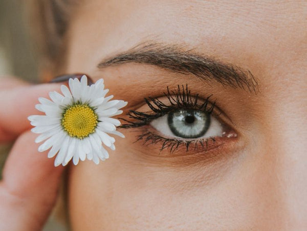 The Fascinating Study Of Iridology