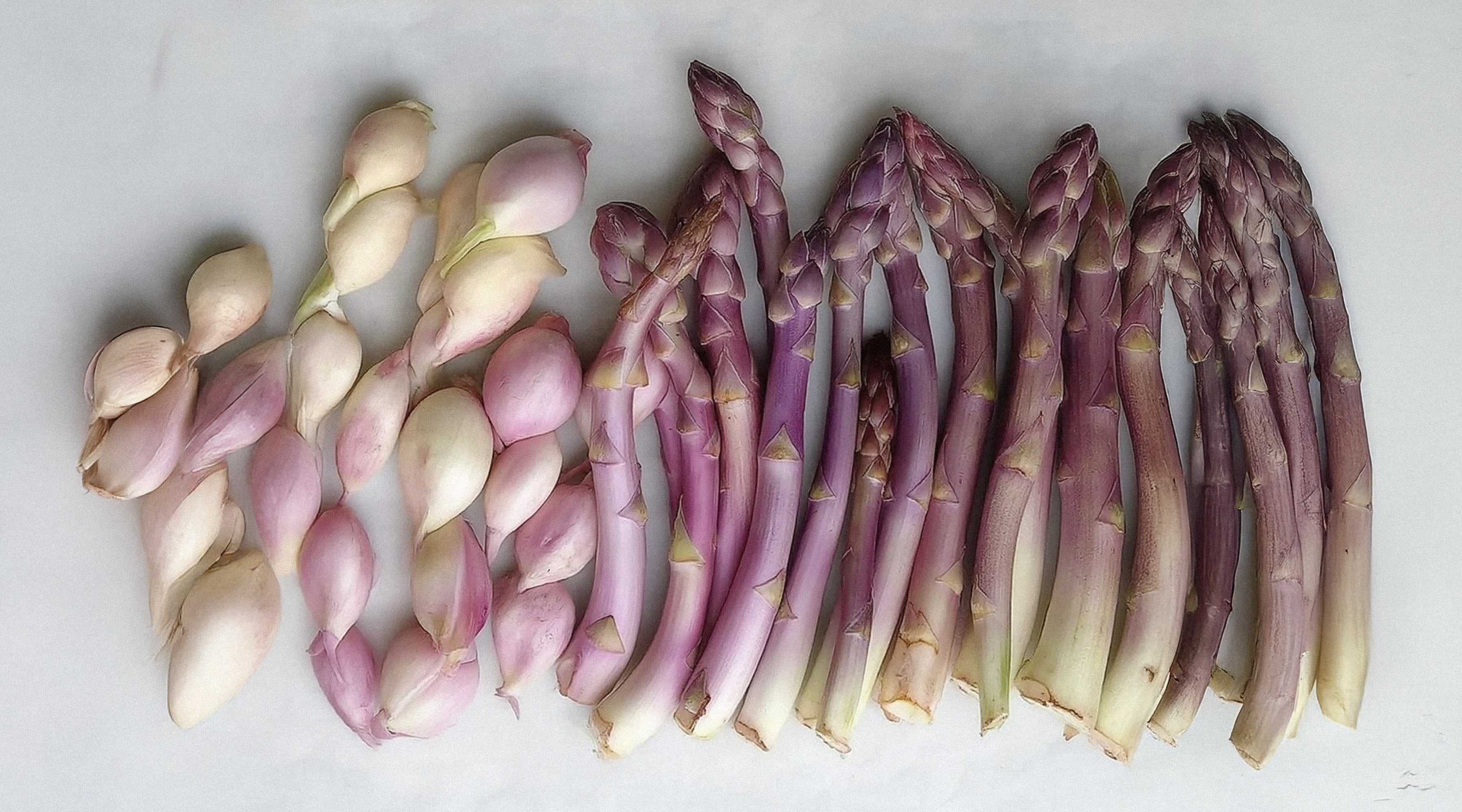 Healing Through the Autoimmune Protocol (AIP) Diet