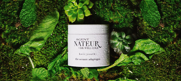 Immunity adaptogens