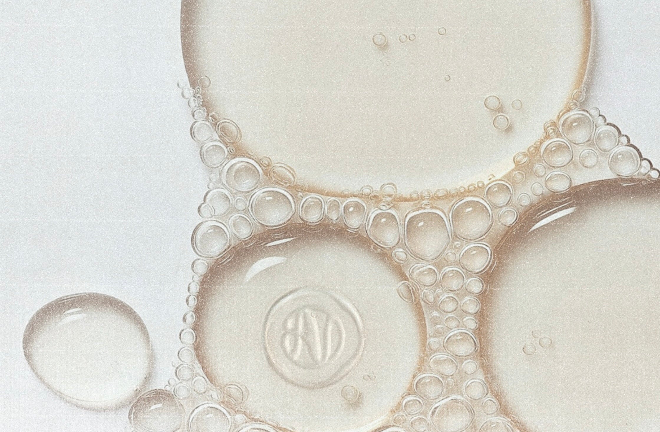 Moisture Memory: How Ceramosides In holi (radiance) Teach Your Skin to Stay Plump