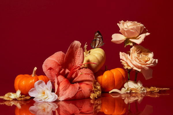 Is pumpkin seed the natural answer to hair fall? Why I use it in holi(locks) and hair(silk)