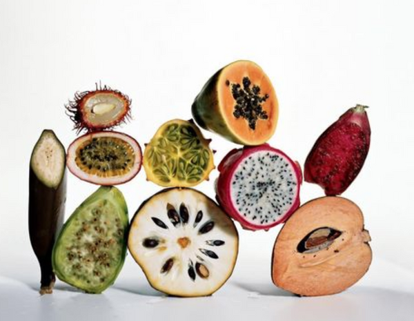 Episode 109: Wade Lightheart On How To Supplement Your Nutrient-Deficient Diet and Take Back Your Health