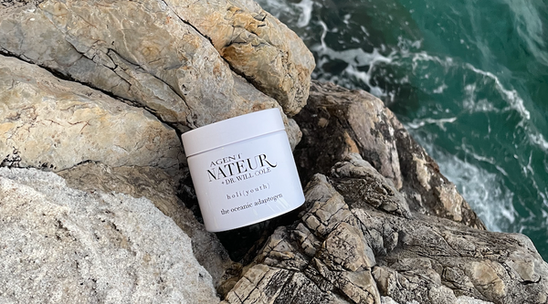 Burned Out? Try our calming adaptogen holi (youth)