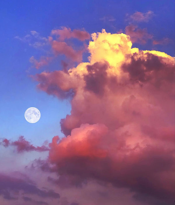 Menstrual cycles and the moon: The mysterious connection