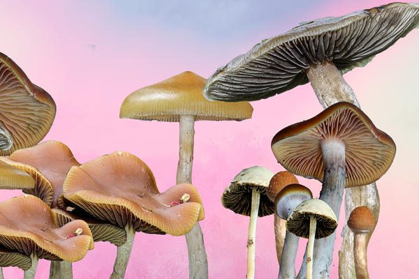 Shroom Up Your Sex Life and Mental Health