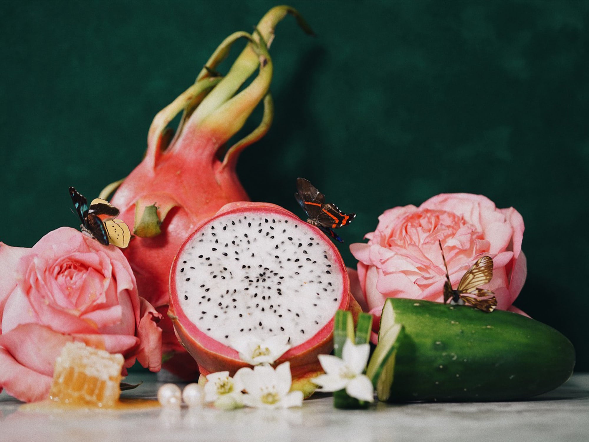 Pitaya extract